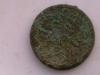 IMGA0465.JPG