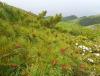 DSC01158.JPG