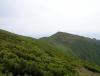 DSC01173.JPG