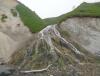 DSC00949.JPG