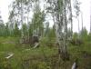 DSC07451.JPG