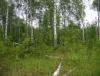 DSC07450.JPG