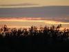 DSC03792.JPG