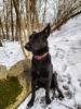IMG-20220401-WA0010.jpg