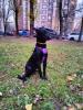 IMG-20211027-WA0008.jpg