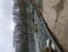 IMG_20221021_102004.jpg