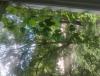 IMG_20260616_150645.jpg