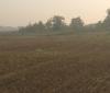 IMG_20250806_154300.jpg