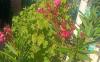 IMG_20260722_085952.jpg