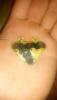 IMG-20180810-WA0022.jpg