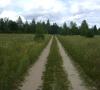 DSC07474.JPG