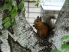 DSC03887.JPG