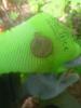 IMG20250802075348.jpg