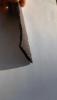 IMG20260823074840.jpg