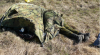 fgh.PNG