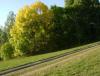 DSC07550.JPG