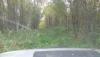 DSC07330.JPG