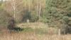 DSC07323.JPG