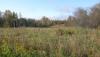 DSC07324.JPG
