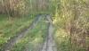 DSC07320.JPG