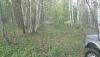DSC07327.JPG