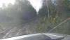 DSC07307.JPG