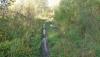 DSC07322.JPG