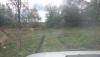DSC07334.JPG