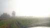DSC07310.JPG