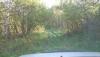 DSC07319.JPG