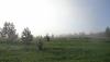 DSC07309.JPG