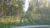 DSC07318.JPG