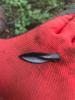 IMG-20190929-WA00161.jpg