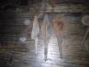 IMG-20190929-WA00261.jpeg