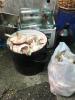 IMG-20190927-WA01191.jpg