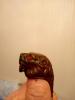 IMG-20200926-WA0044.jpg