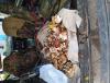 IMG_20210905_180654.jpg