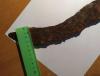 IMG_20260922_203420.jpg