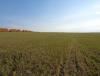 DSC01475.JPG
