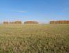 DSC01474.JPG