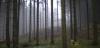 bs-harzhorn-11-DW-Kultur-Bramsche-jpg.jpg