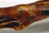 tattoo-otzi.jpg.838x0_q80.jpg
