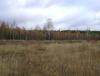 DSC06745.JPG