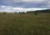 DSC07582.JPG