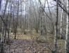 DSC07580.JPG