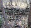 DSC07578.JPG