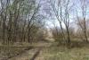 DSC07936.JPG.94bb96f01e071d2ffece7e0da150a4d1.jpg