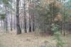 DSC08833.JPG