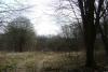 DSC07937.JPG.b5653e84d24d2402f5f047964daed8b3.jpg