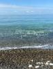 IMG_20251009_193719.jpg